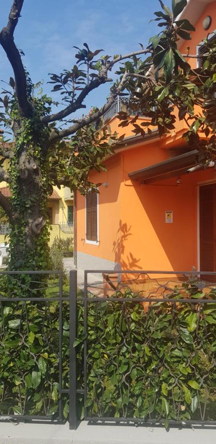 Hotel New Life Carrara Exterior foto